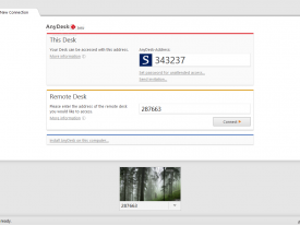 Whitelist Setup of AnyDesk: How Is That Possible?