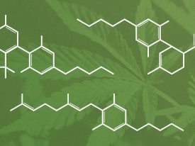 Is It Legal To Consume Cbd? What Is The Effect Of Cbd On Health Of Person?