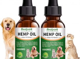 Best CBD Oil For Dogs: 5 Top Products