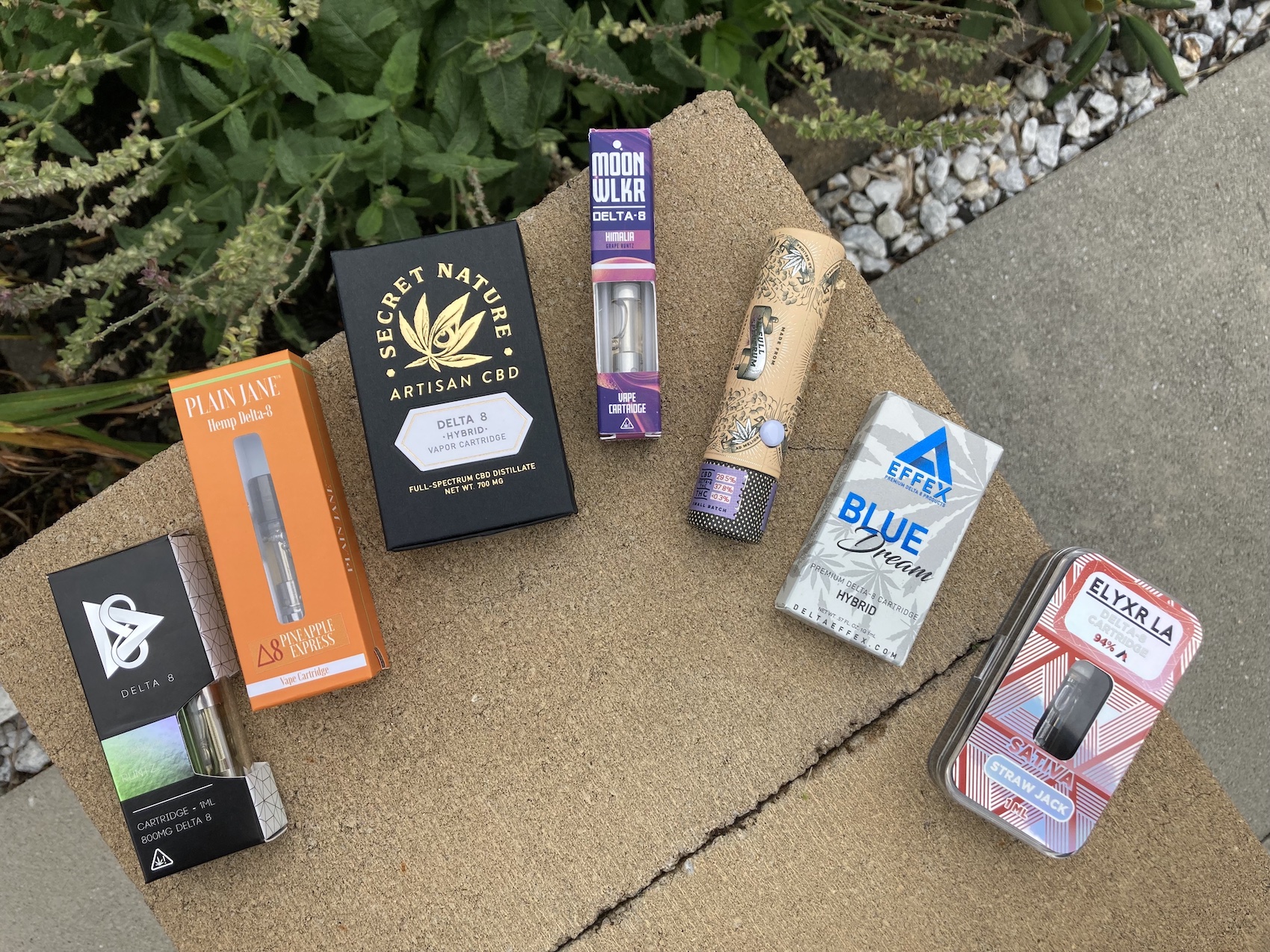 Delta 8 Carts: Shop Vape Cartridges in Our Bud Collection